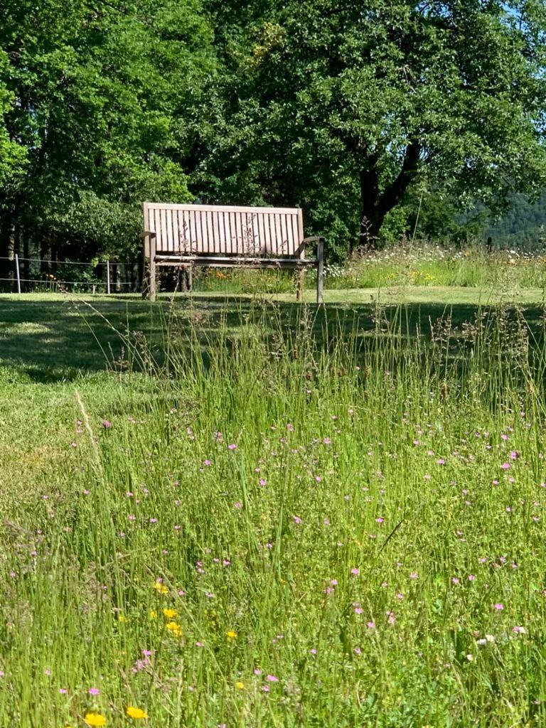 Urlaub Mit Hund Auf Dem Bauernhof Hofswald Appartement Euscheid Buitenkant foto