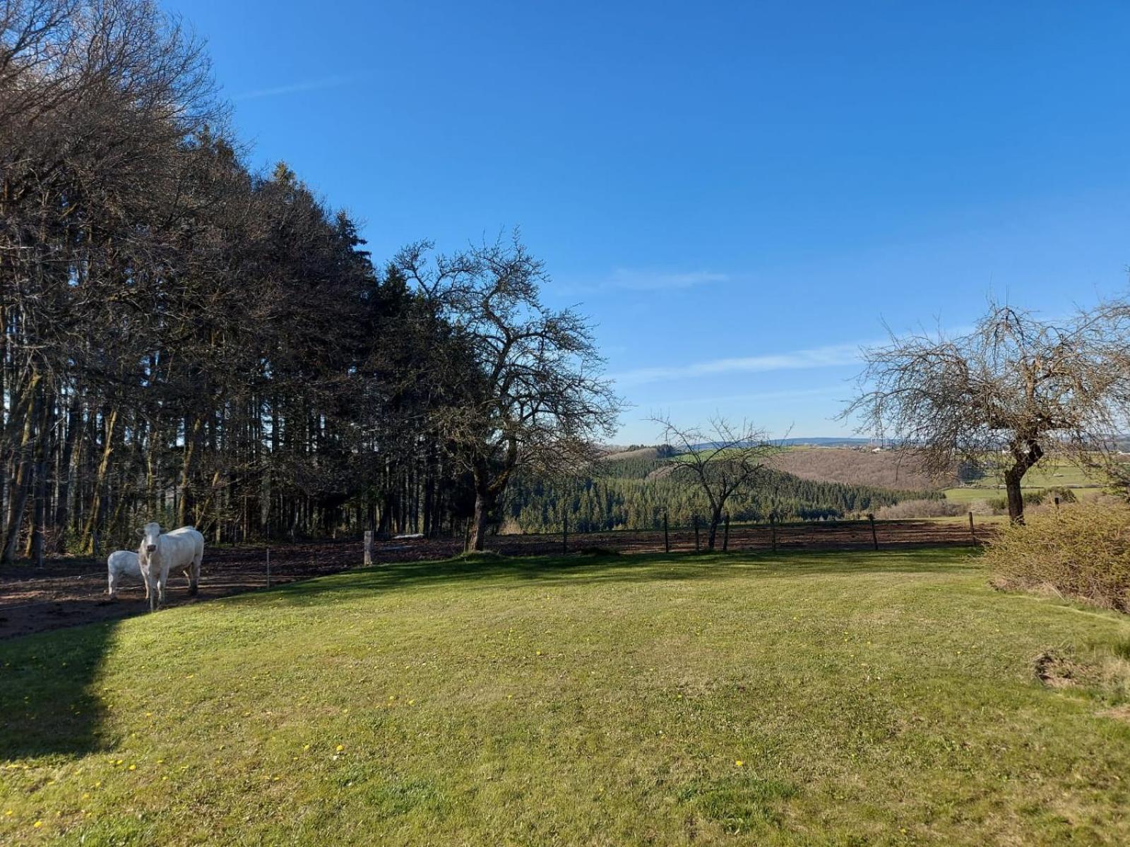 Urlaub Mit Hund Auf Dem Bauernhof Hofswald Appartement Euscheid Buitenkant foto