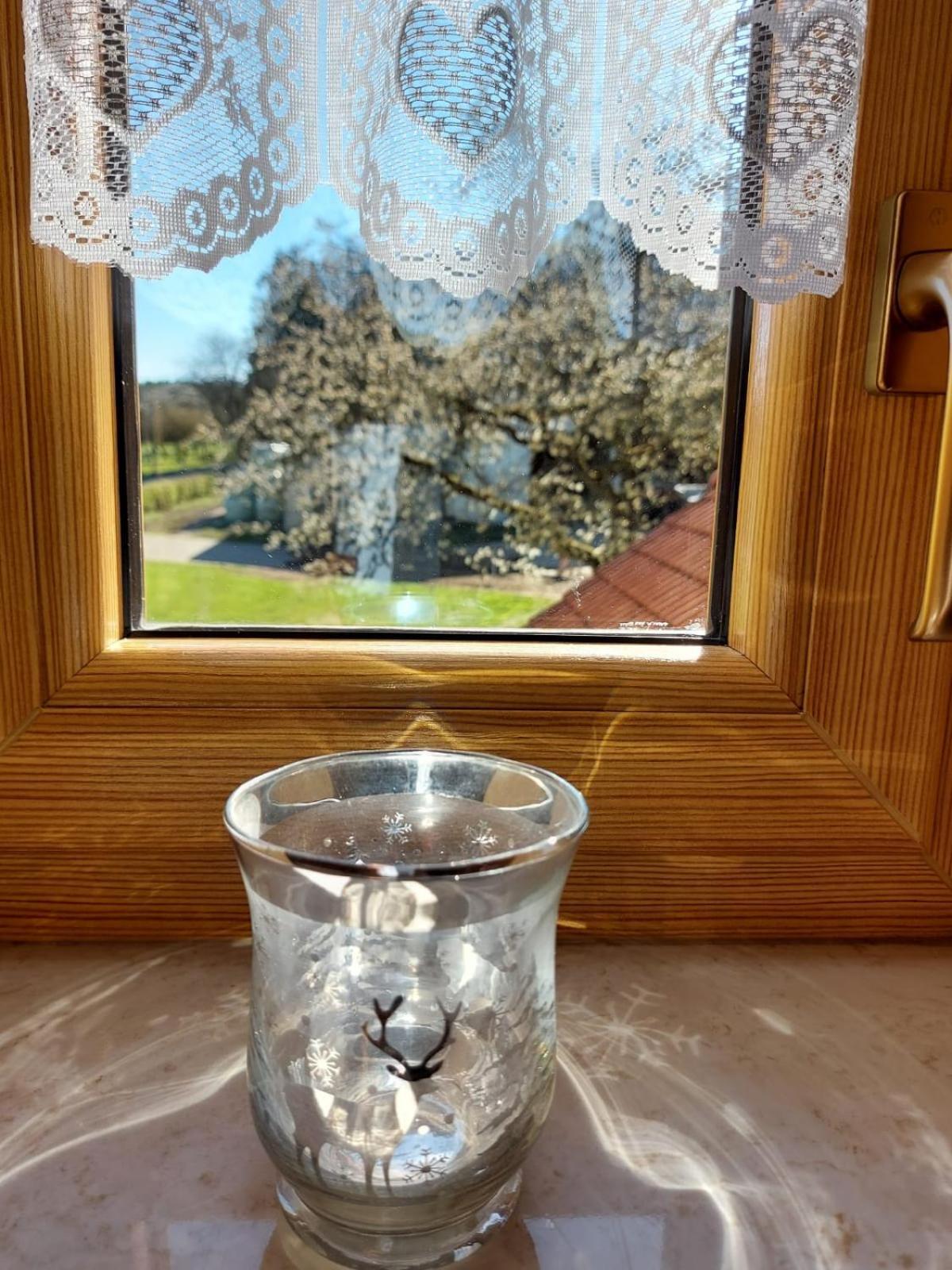 Urlaub Mit Hund Auf Dem Bauernhof Hofswald Appartement Euscheid Buitenkant foto